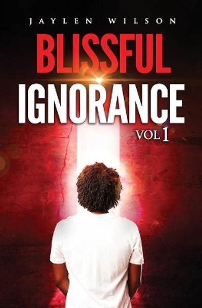 Blissful Ignorance by Audrey Fisch 9780578747446