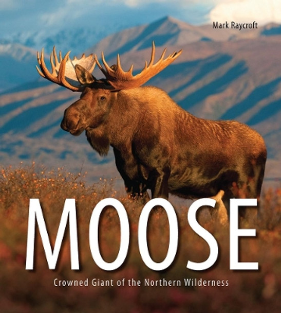 Moose: Crowned Giant of the Northern Wilderness by Mark Raycroft 9781770859661