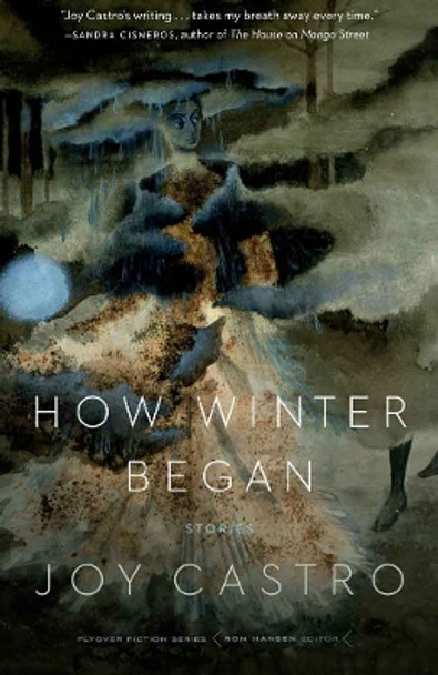 How Winter Began: Stories by Joy Castro 9780803276604