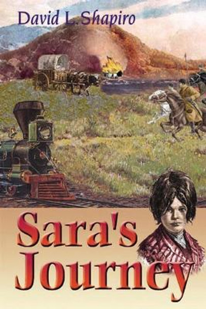 Sara's Journey by David L. Shapiro 9780827607767