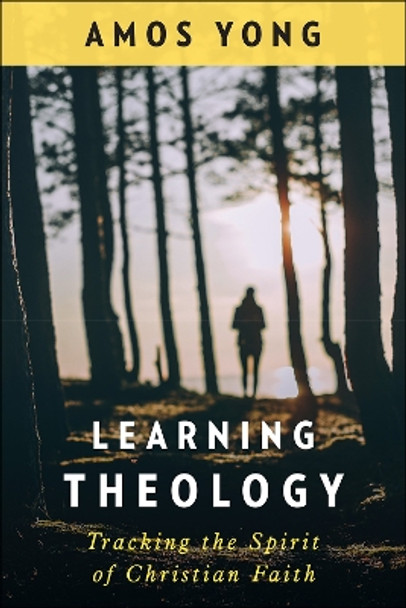 Learning Theology: Tracking the Spirit of Christian Faith by Amos Yong 9780664263966