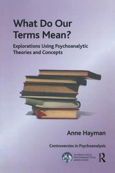 What Do Our Terms Mean?: Explorations Using Psychoanalytic Theories and Concepts by Anne Hayman