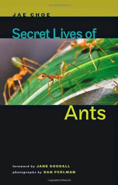 Secret Lives of Ants by Jae C. Choe 9781421404288