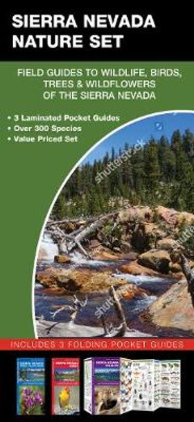 Sierra Nevada Nature Set: Field Guides to Wildlife, Birds, Trees & Wild Flowers of Sierra Nevada by James Kavanagh 9781620053126