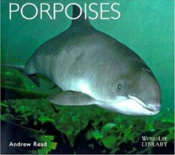 Porpoises by Andy Read 9780896584204