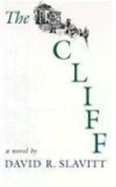 The Cliff: A Novel by David R. Slavitt 9780807117811