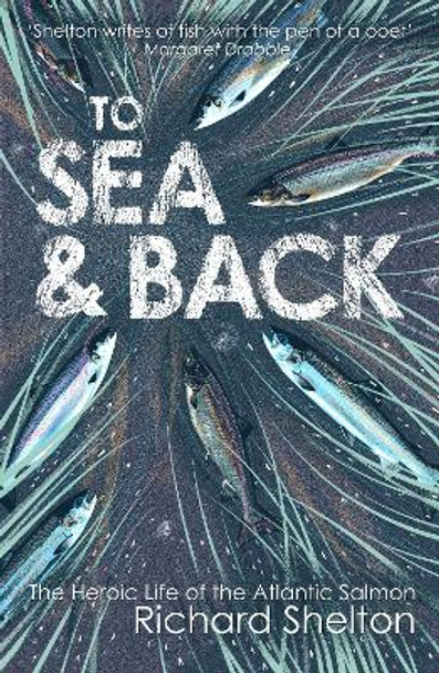 To Sea and Back: The Heroic Life of the Atlantic Salmon by Richard Shelton