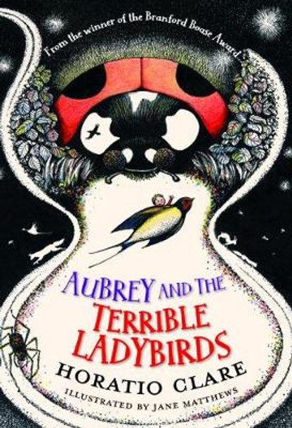 Aubrey and the Terrible Ladybirds by Horatio Clare 9781910080504