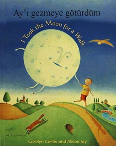 I Took the Moon for a Walk by Carolyn Curtis 9781846113918