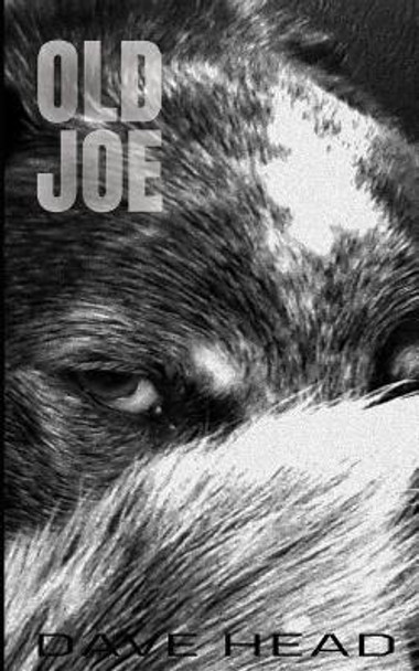 Old Joe by Dave Head 9781090458001