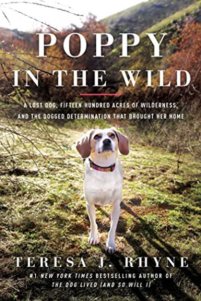 Poppy in the Wild: A Lost Dog, Fifteen Hundred Acres of Wilderness, and the Dogged Determination that Brought Her Home by Teresa J. Rhyne 9781639362059