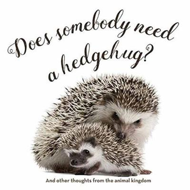 Does Somebody Need a Hedgehug? by Smith Gibbs 9781423648109