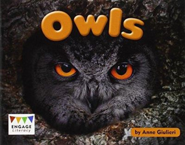 Owls by Anne Giulieri 9781406299618