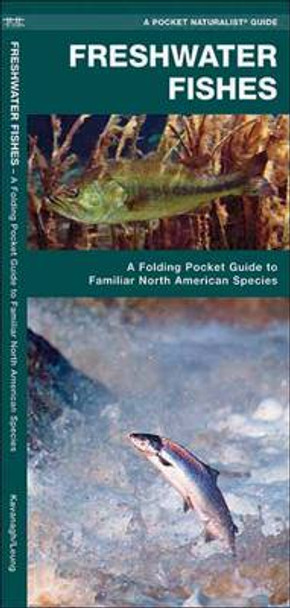 Freshwater Fishes: A Folding Pocket Guide to Familiar North American Species by James Kavanagh 9781583551837