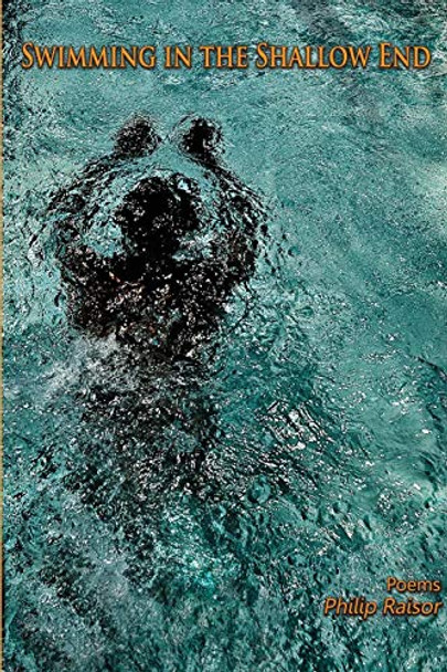 Swimming in the Shallow End by Philip Raisor 9781625490087