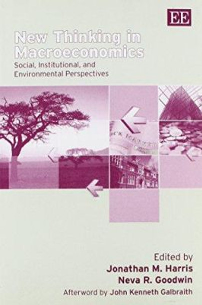 New Thinking in Macroeconomics: Social, Institutional, and Environmental Perspectives by Jonathan M. Harris 9781845420864