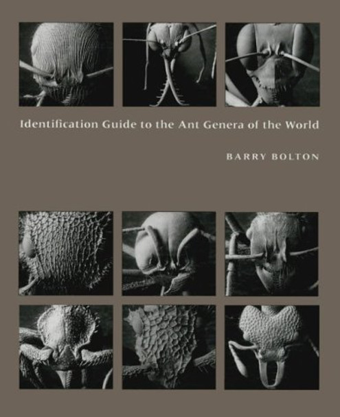 Identification Guide to the Ant Genera of the World by Barry Bolton 9780674442801