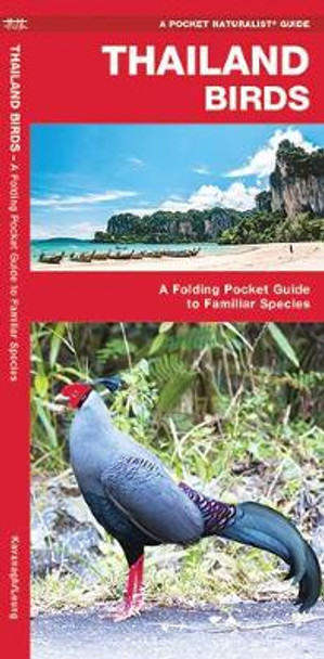 Thailand Birds: A Folding Pocket Guide to Familiar Species by James Kavanagh 9781620052778