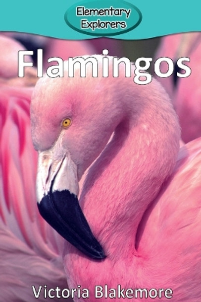 Flamingos by Victoria Blakemore 9780998824338