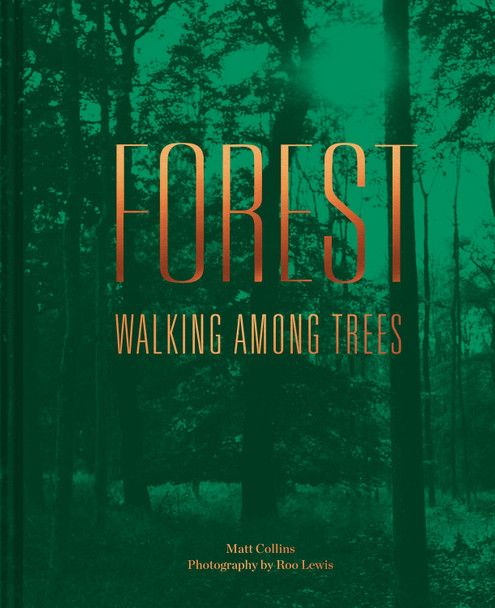 Forest: Walking among trees by Matt Collins