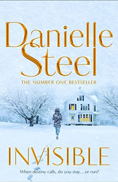 Invisible by Danielle Steel 9781529021813