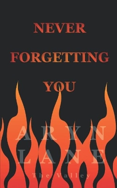 Never Forgetting You by Aryn Lane 9780999799550