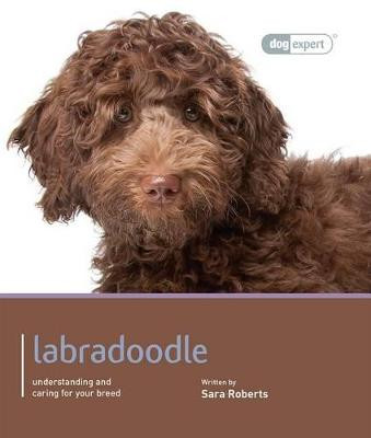Labradoodle - Dog Expert by Sarah Rogers