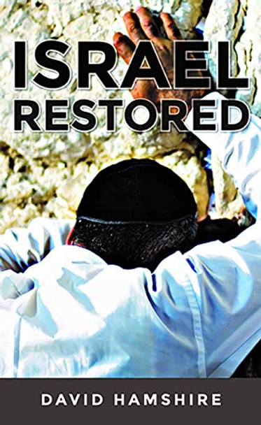 Israel Restored by David Hamshire 9781910942802