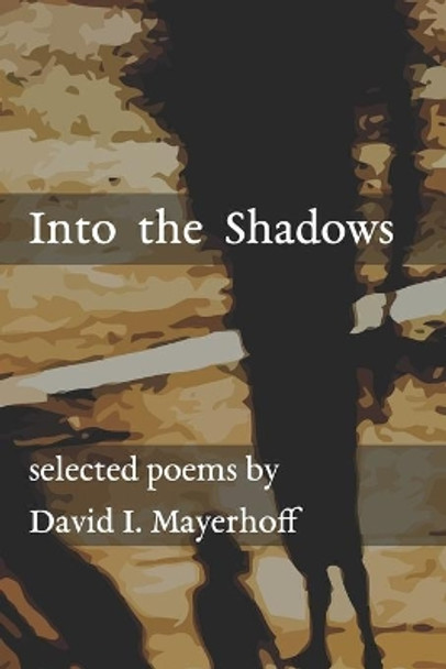 Into the Shadows by David I Mayerhoff 9781077983212
