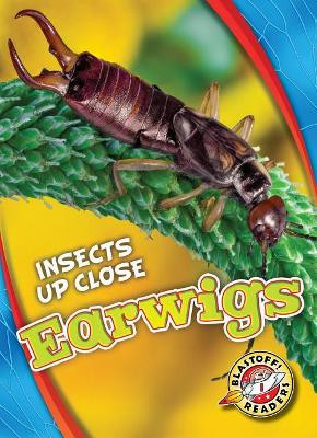 Earwigs by Patrick Perish 9781626176638
