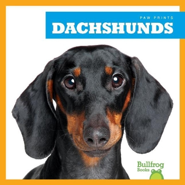 Dachshunds by Kaitlyn Duling 9781624967689