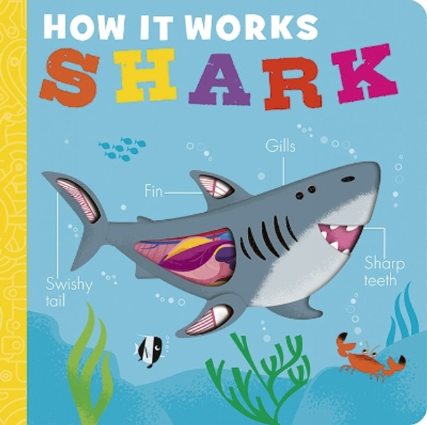 How it Works: Shark by Molly Littleboy 9781801046091