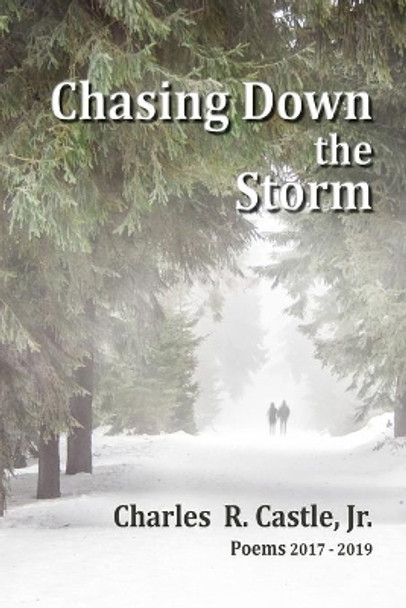 Chasing Down the Storm by Charles R Castle Jr 9781088457542