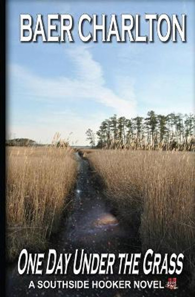 One Day Under the Grass by Baer Charlton 9780997179514