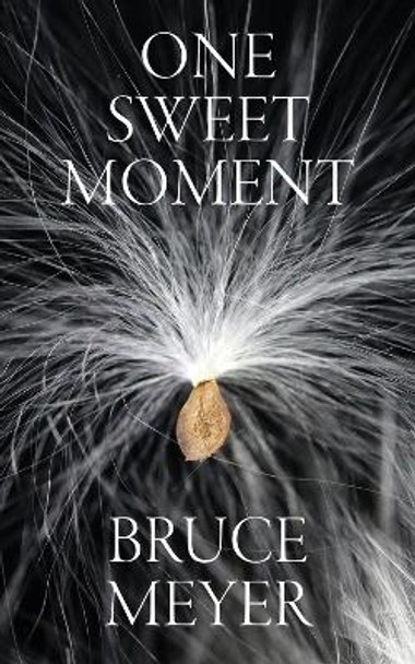 One Sweet Moment by Bruce Meyer 9781771838290