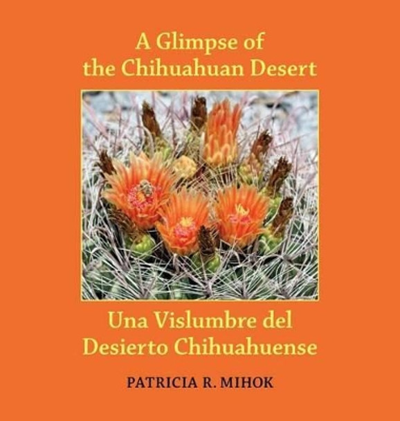 A Glimpse of the Chihuahuan Desert/Una Vislumbre del Desierto Chihuahuense by Patricia R Mihok 9780991573813