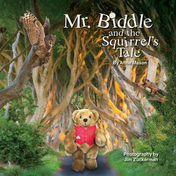 Mr. Biddle and the Squirrel's Tale by Anne Mason 9780999021088