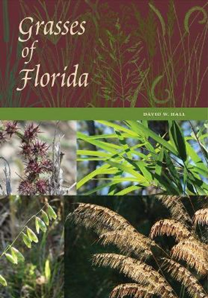 Grasses of Florida by David W. Hall 9780813056050