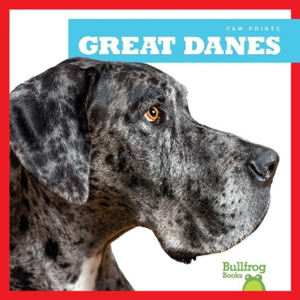 Great Danes by Nadia Higgins 9781624967764