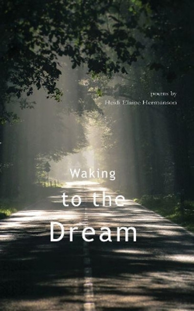 Waking to the Dream by Heidi Hermanson 9781622882137