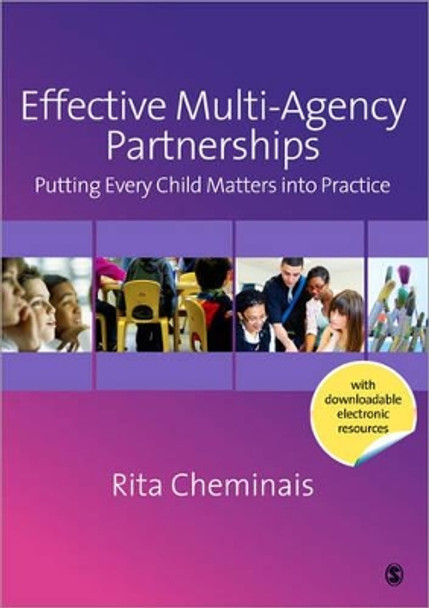 Effective Multi-Agency Partnerships: Putting Every Child Matters into Practice by Rita Cheminais 9781848601390