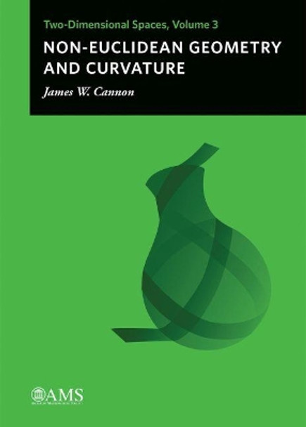 Topology as Fluid Geometry: Two-Dimensional Spaces, Volume 2 by James W. Cannon 9781470437169