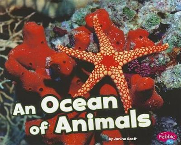 An Ocean of Animals (Habitats Around the World) by Janine Scott 9781429671514