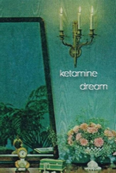 Ketamine Dream by Ashley Poetry 9781088015858