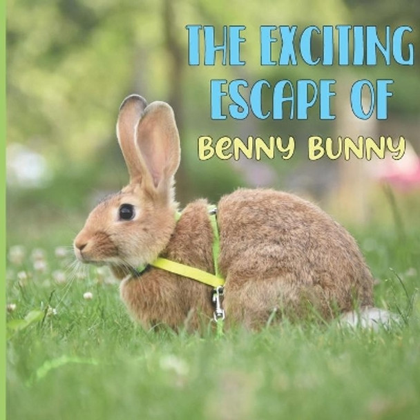 The Exciting Escape Of Benny Bunny: A Cute Tale of a Rascally Rabbit by Teddi Bear Books 9781073349463