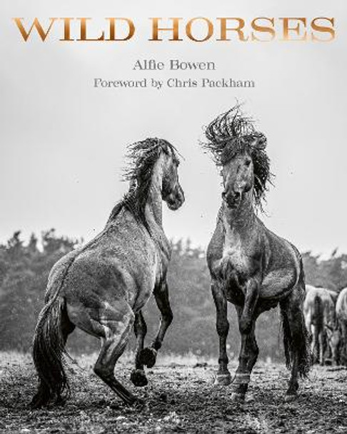 Wild Horses by Alfie Bowen 9781788842624