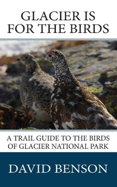 Glacier is for the Birds: A Trail Guide to the Birds of Glacier National Park by David P Benson 9780997519303