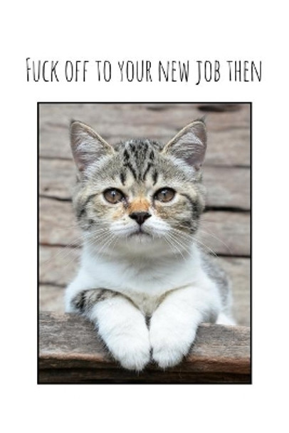 Fuck off to your new job then: Perfect goodbye gift for coworker that is leaving / going away gift for your co worker, boss, manager, employee. by Workfreedom Press 9781088688410