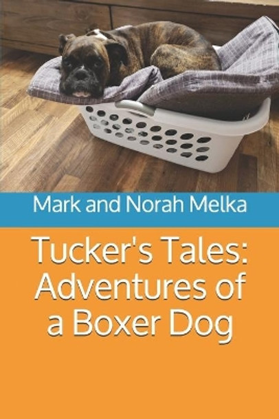 Tucker's Tales: Adventures of a Boxer Dog by Norah Melka 9781080343645