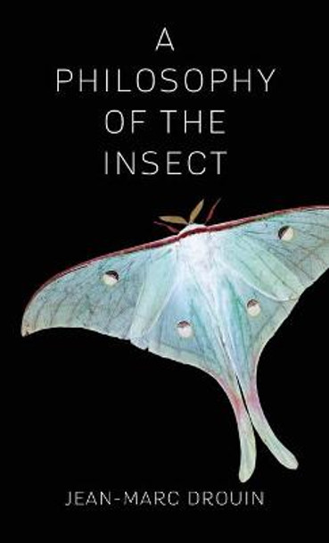 A Philosophy of the Insect by Jean-Marc Drouin